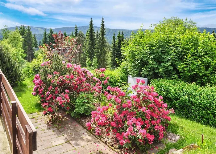 Gorgeous In * Goldlauter-Heidersbach